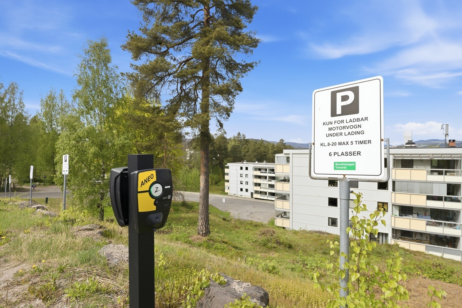 Det er også satt opp ladere, hvor man kan lade ved tilgjengelighet via abonnement hos Aneo Galleribilde