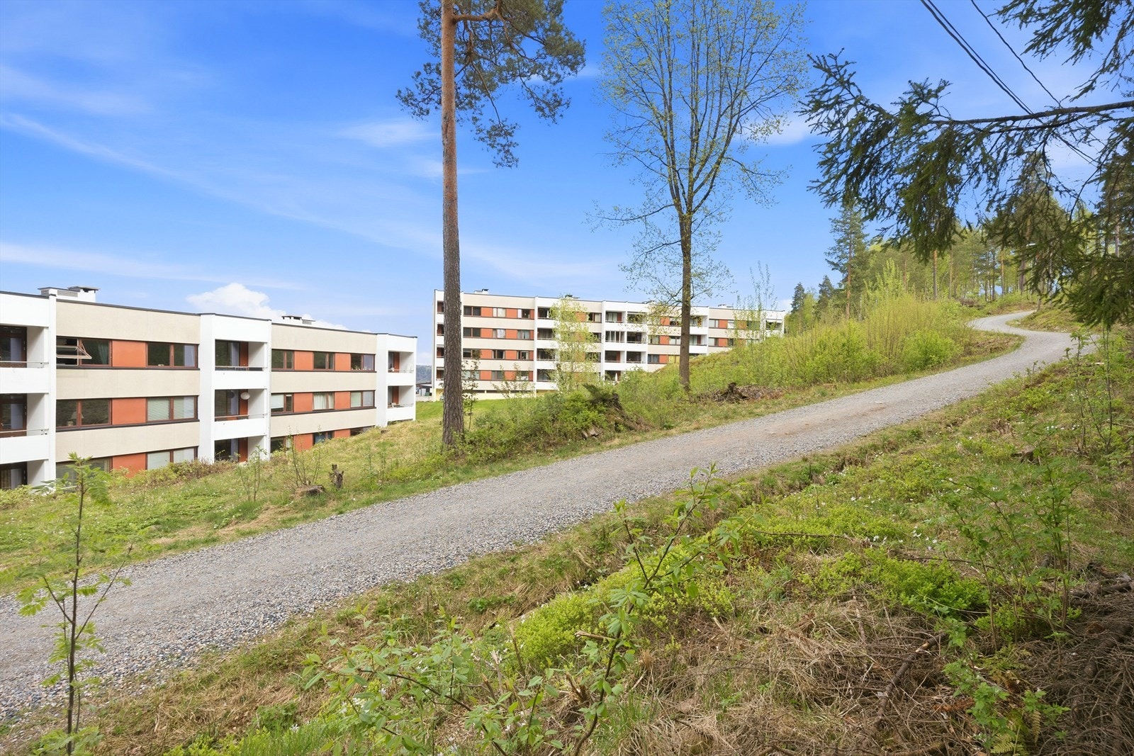 Fra leilighetene er det direkte utgang til Nordbykollen, med både lysløype og utkikkstårn Galleribilde