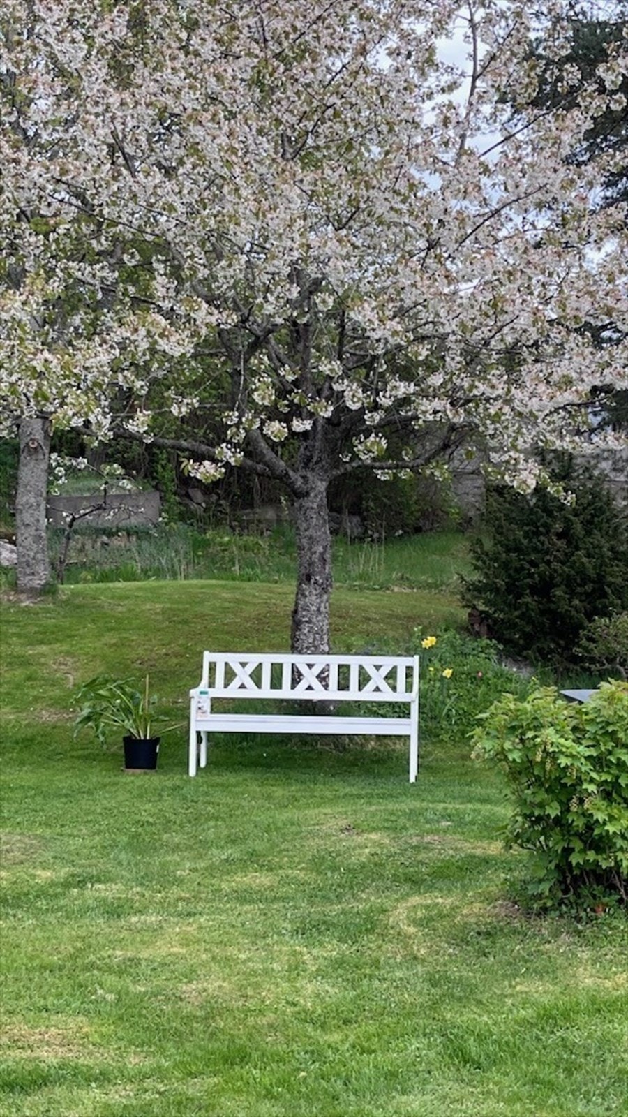 Privat bilde Galleribilde