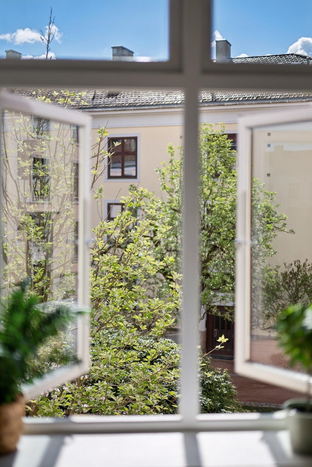 De store vindusflatene bidrar til rikelig med naturlig lys og et fantastisk grønt utsyn. Galleribilde