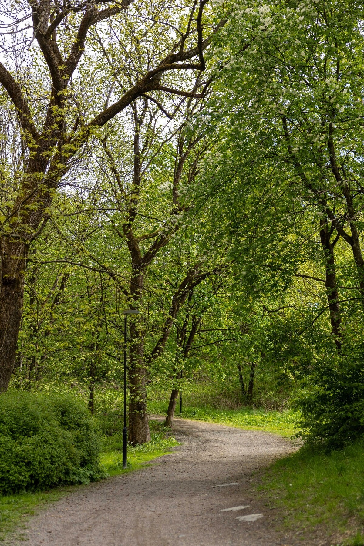 Området byr på svært gode rekreasjonsmuligheter med Frognerparken, Skøyenparken, Bestumkilen og Bygdøy. Galleribilde