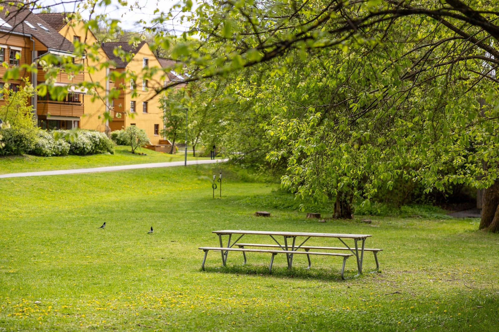 Området oppleves som trygt og trivelig for både voksne og barn. Galleribilde
