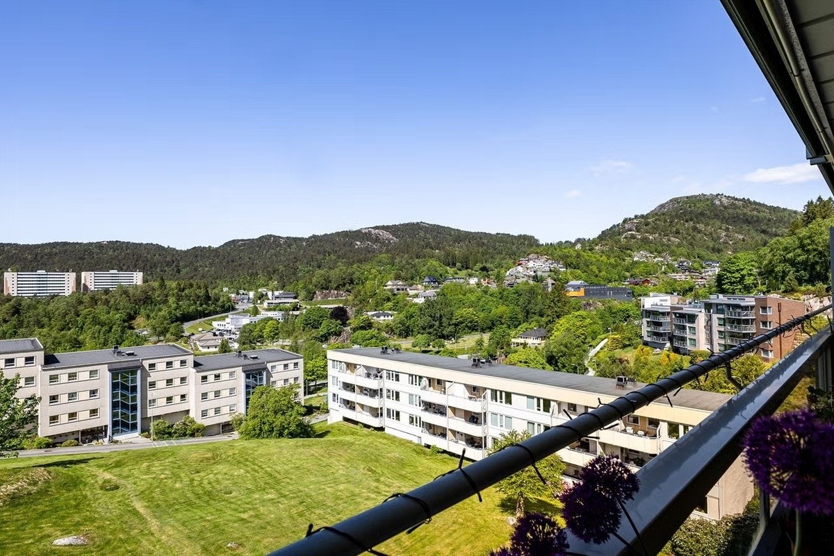 Utsikt Galleribilde