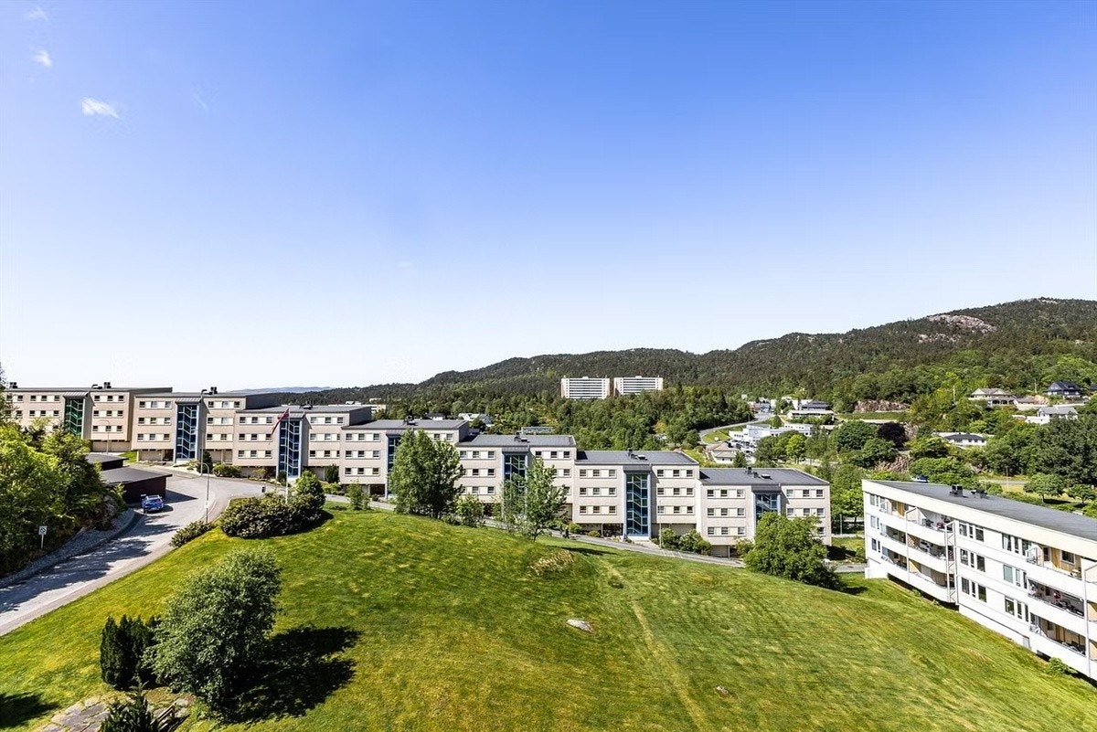 Utsikt Galleribilde