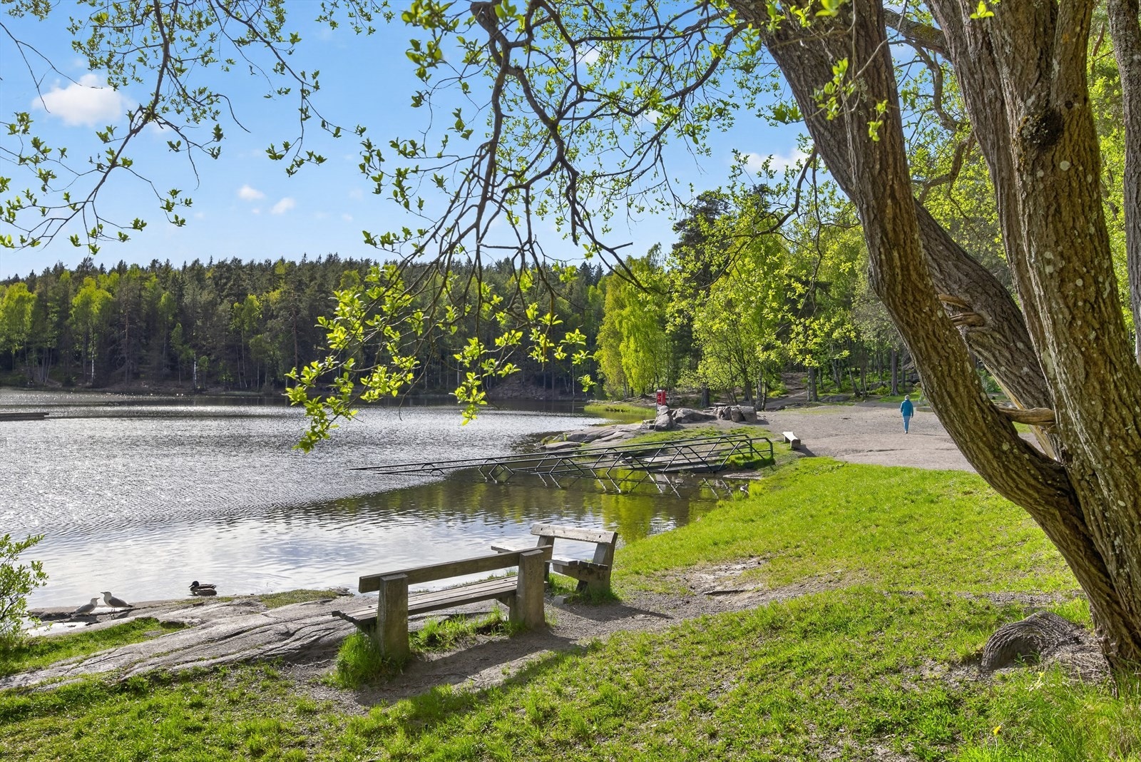 Vesletjernet er et populært friluftsområde året rundt. Galleribilde