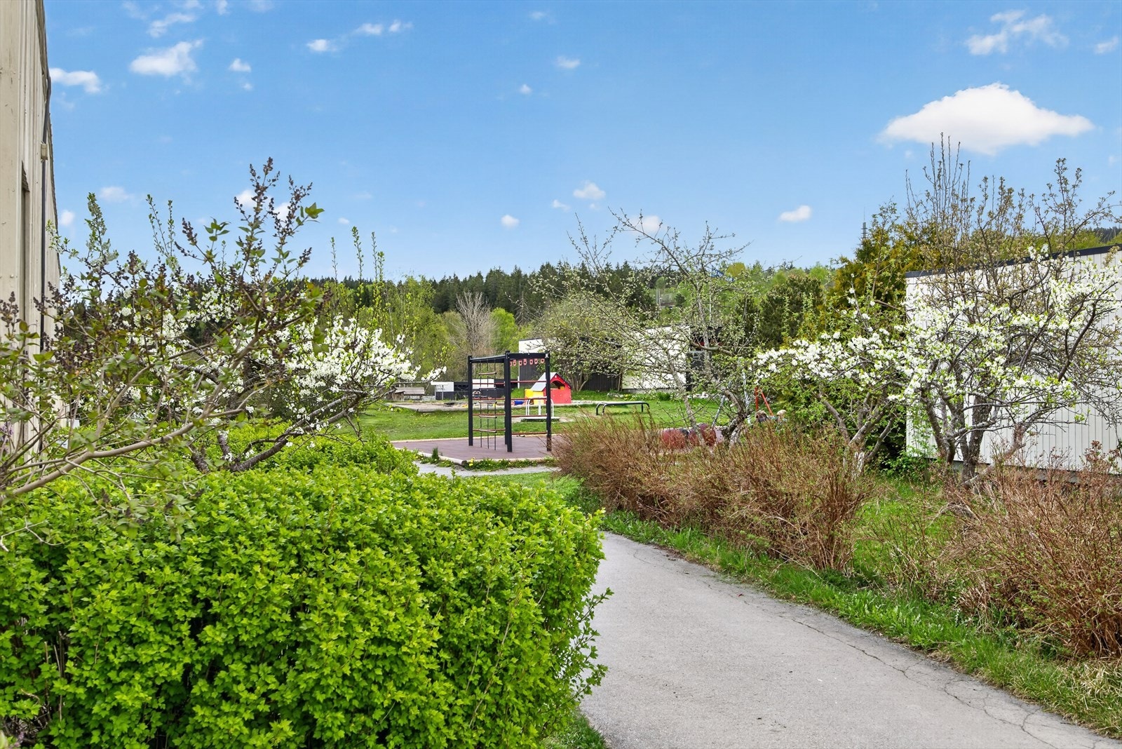 Nærområdet Galleribilde