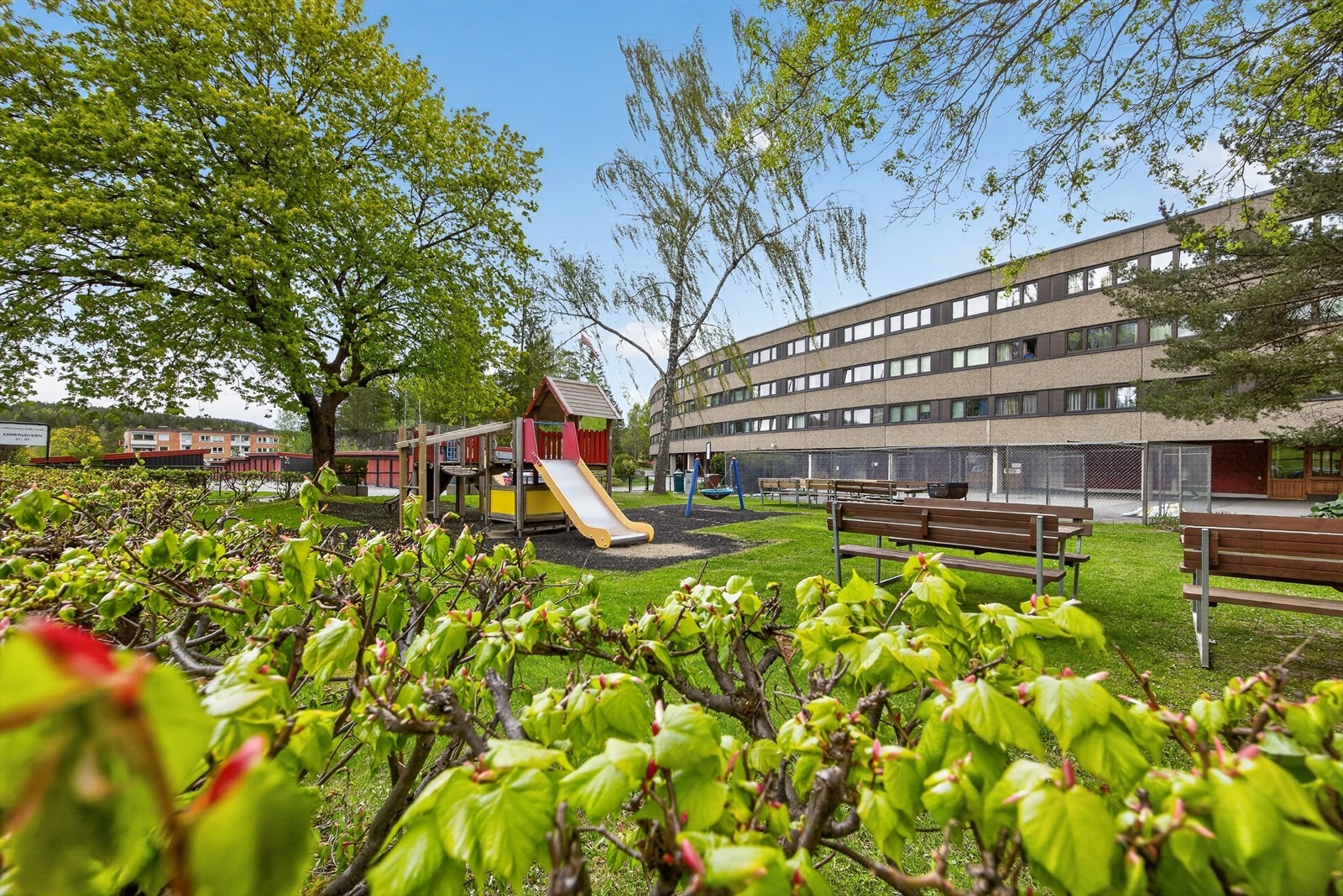 Nærområdet Galleribilde