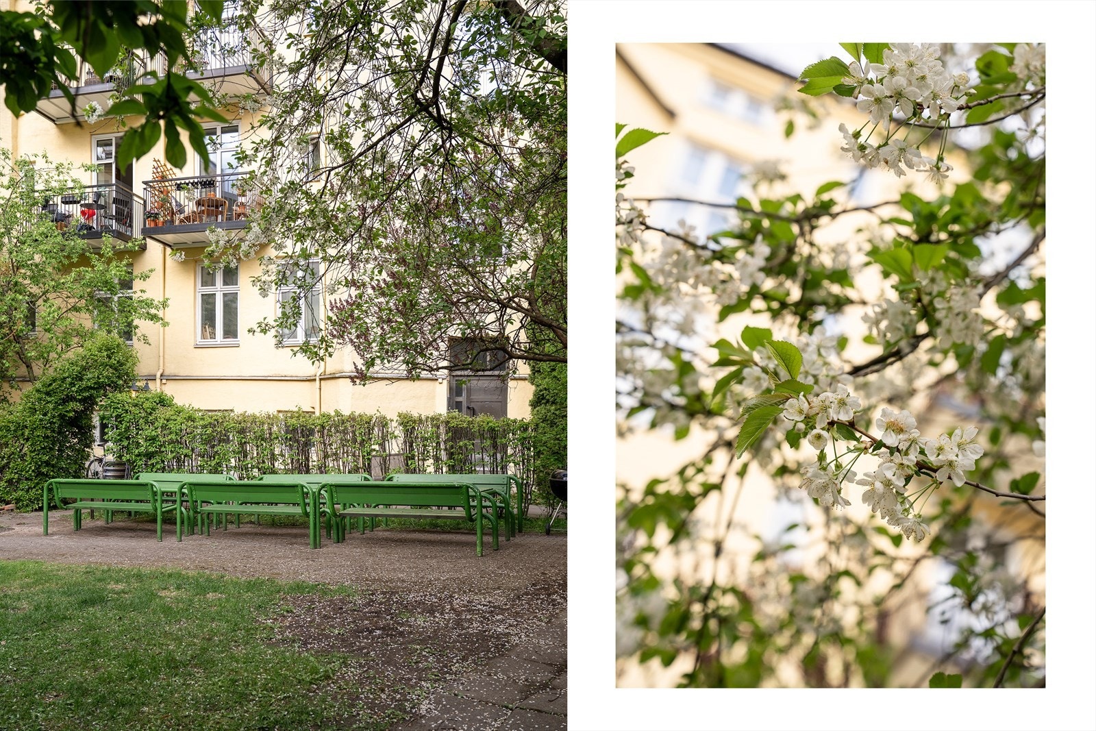 Et hyggelig og tilbaketrukket fellesareal for beboerne. Galleribilde