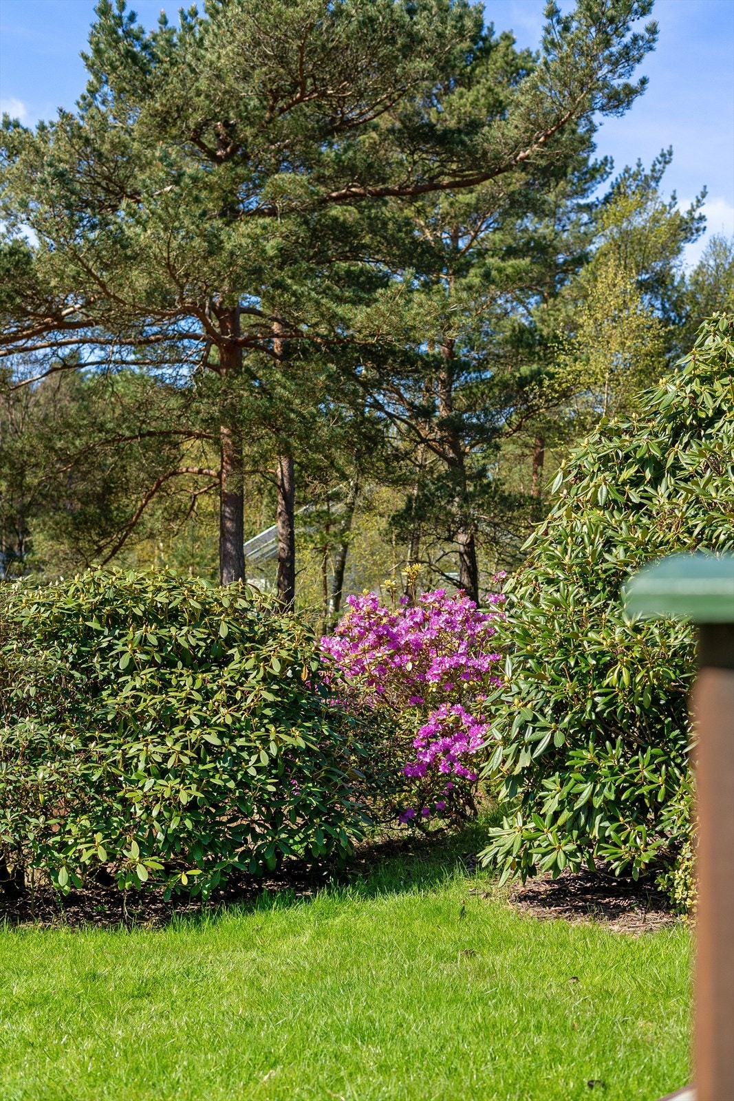 Eiendommen har en opparbeidet hage som glir naturlig over i skogsterrenget. Galleribilde