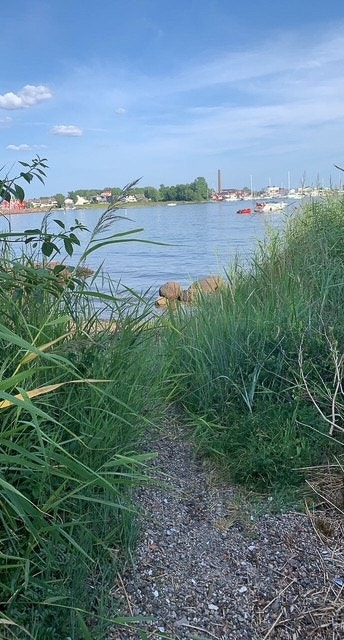 Stranden (Selgers eget bilde). Galleribilde