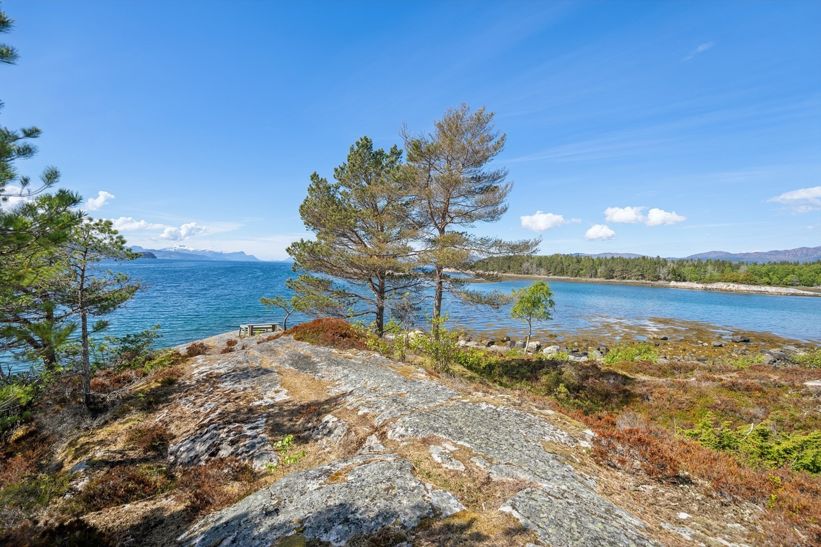 Område Galleribilde