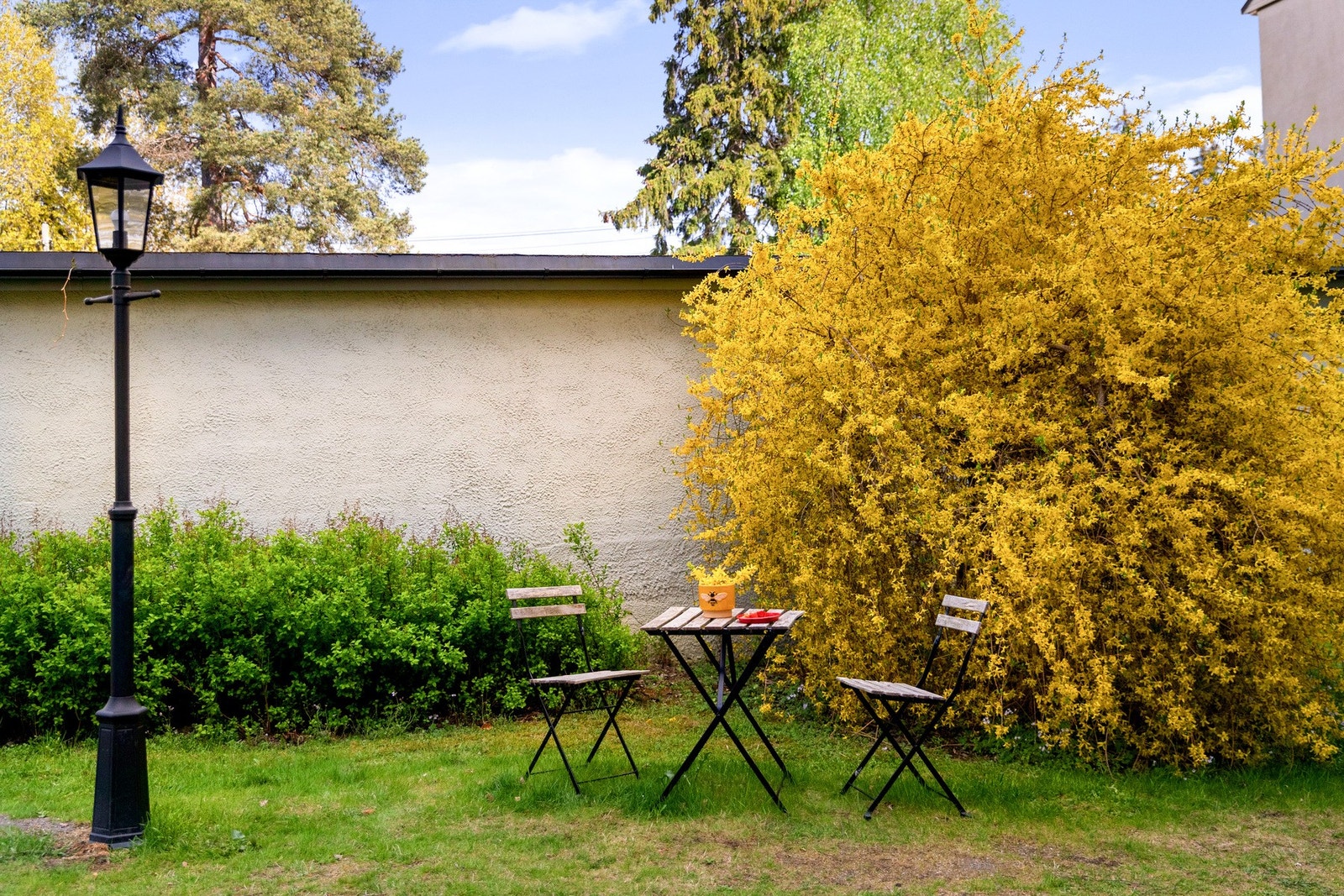 Det er etablert sittegrupper i felles hage. Galleribilde