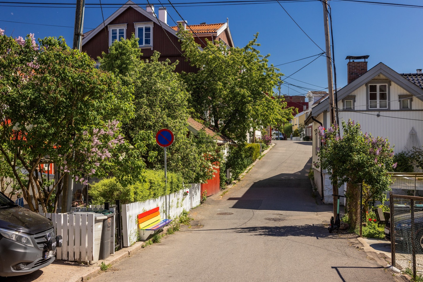 Nærområdet Galleribilde