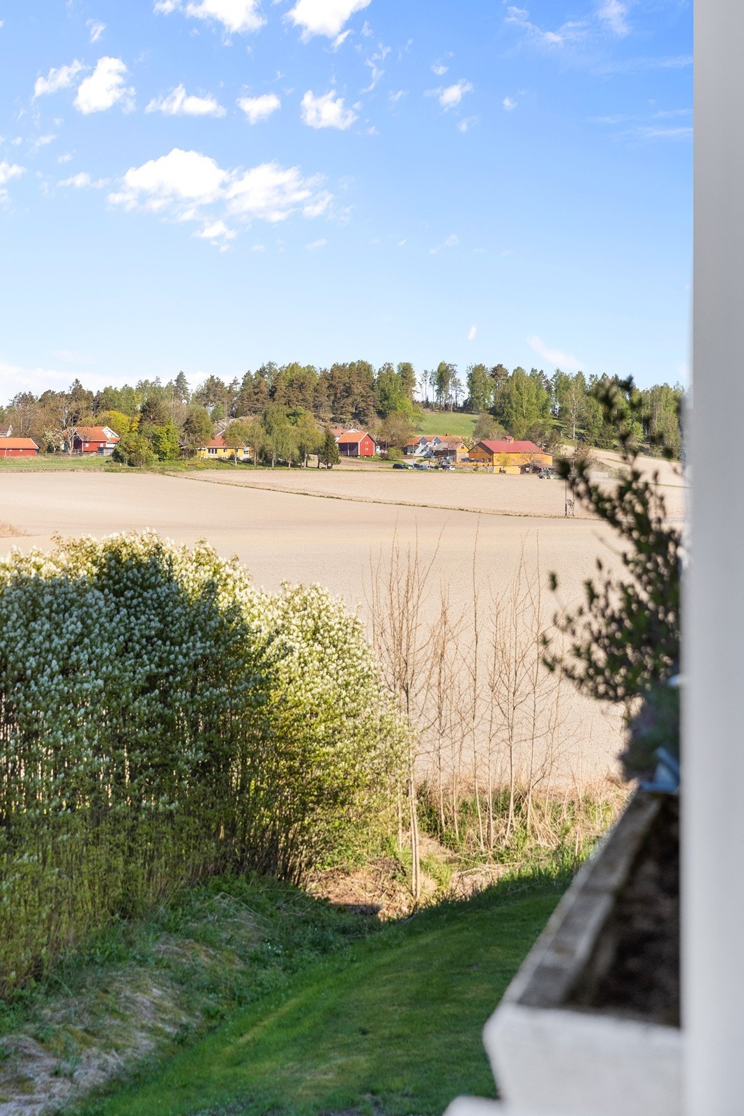 Koselig utsikt over nærområde Galleribilde