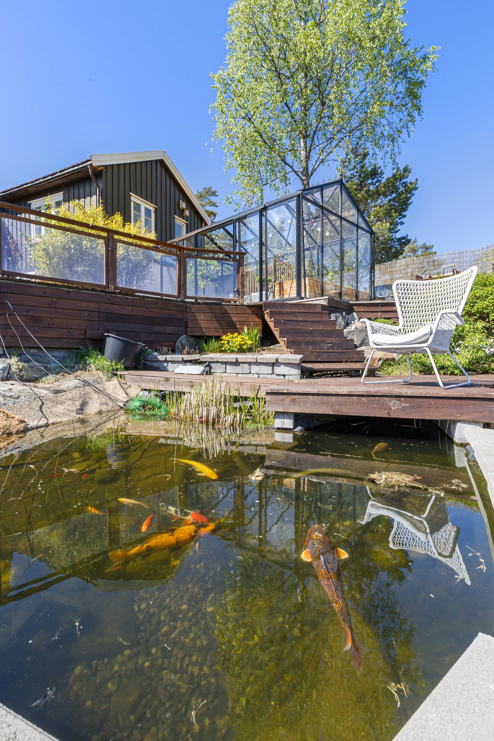 Fiskedam Galleribilde