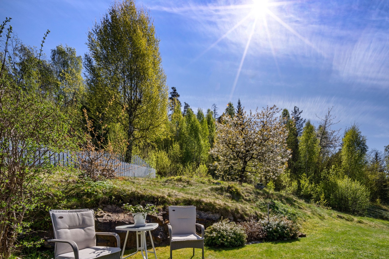 Pent opparbeidet hage med gressplen og beplantning, uthus og bod. Galleribilde