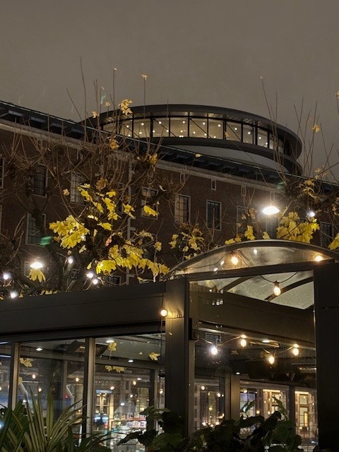Sommero på Solli plass Galleribilde