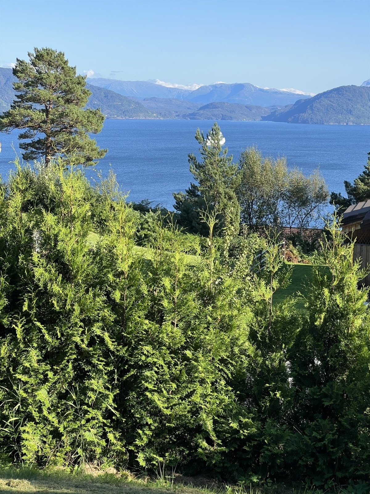 Utsikt fra eiendommen. Galleribilde