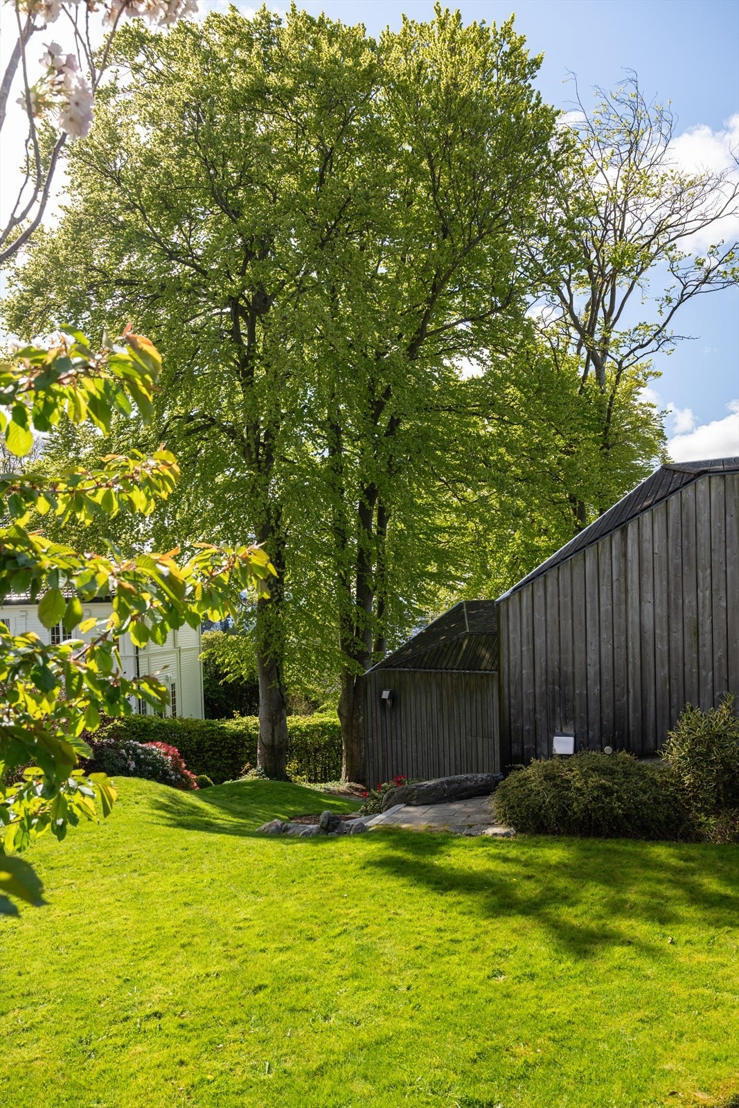 Pent beplantet hage. Galleribilde