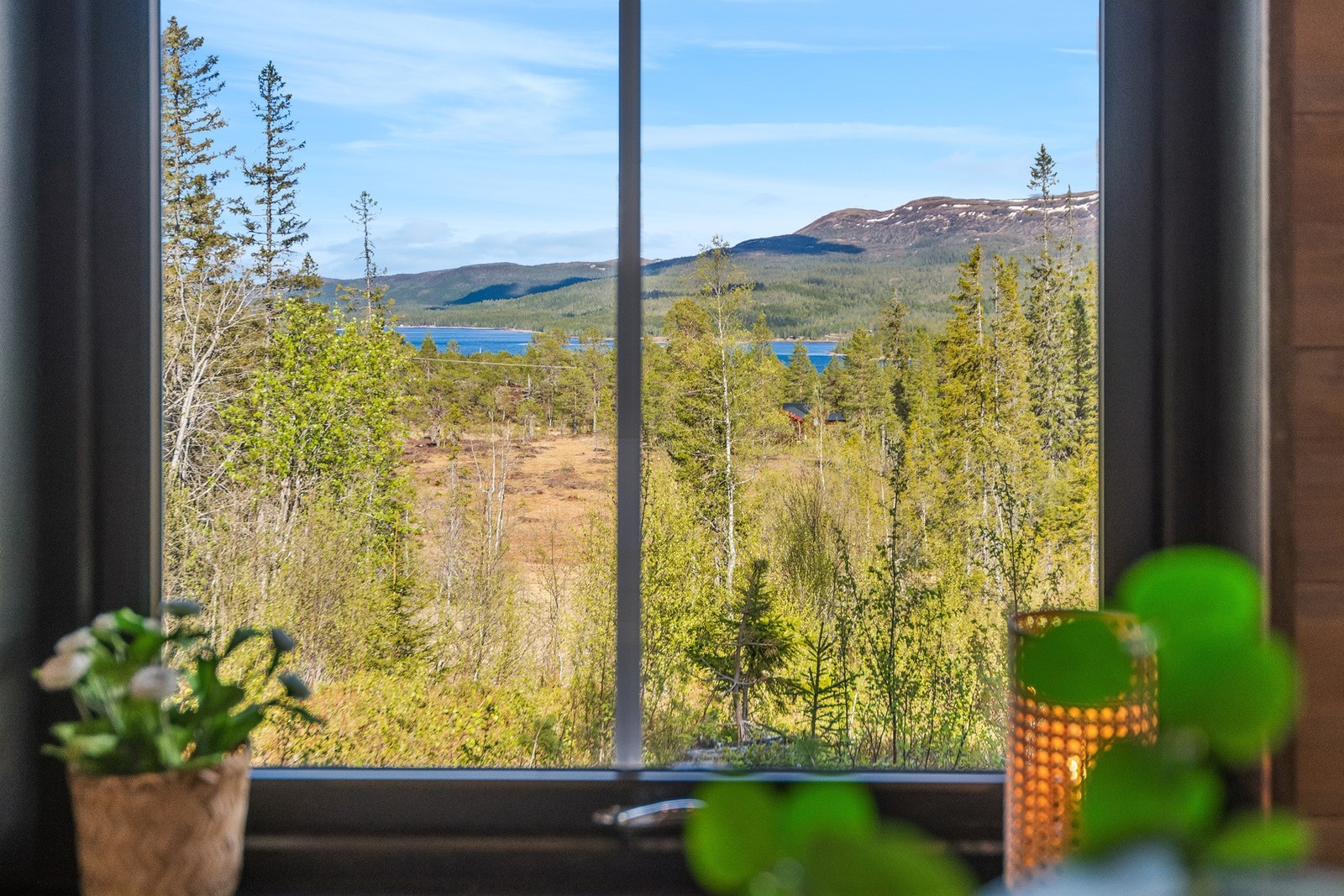 Fra hytta har man utsikt mot naturskjønne omgivelser og Tomtvatnet. Galleribilde