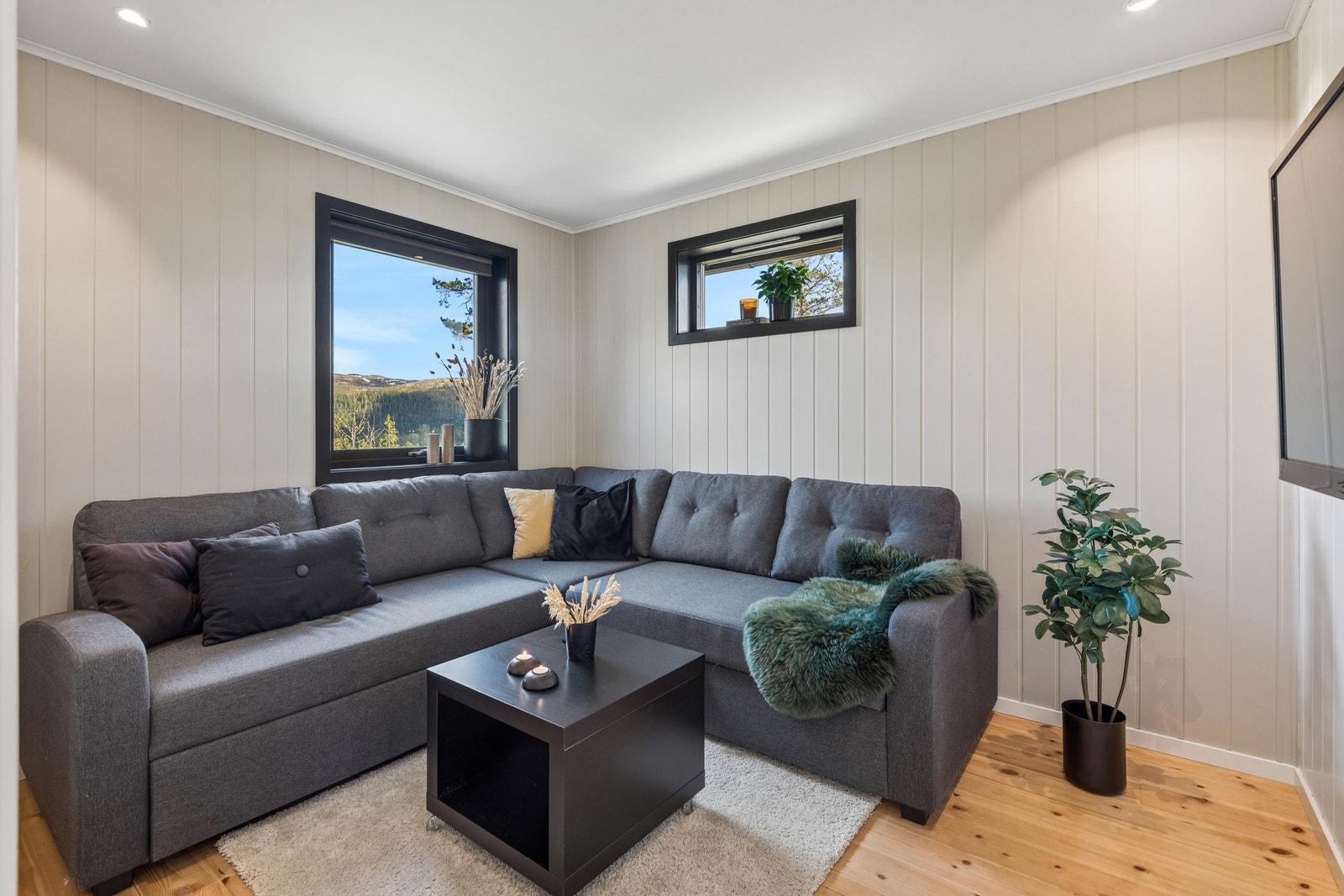 Tv-stue/soverom med god plass til sovesofa. Galleribilde