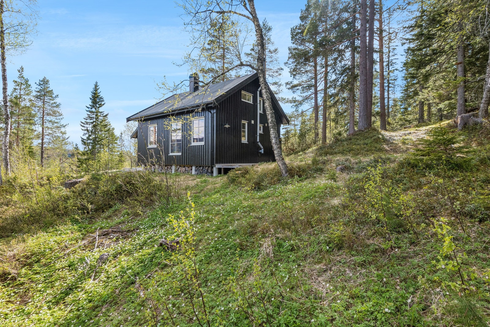 Velkommen til en hyggelig visning! Galleribilde