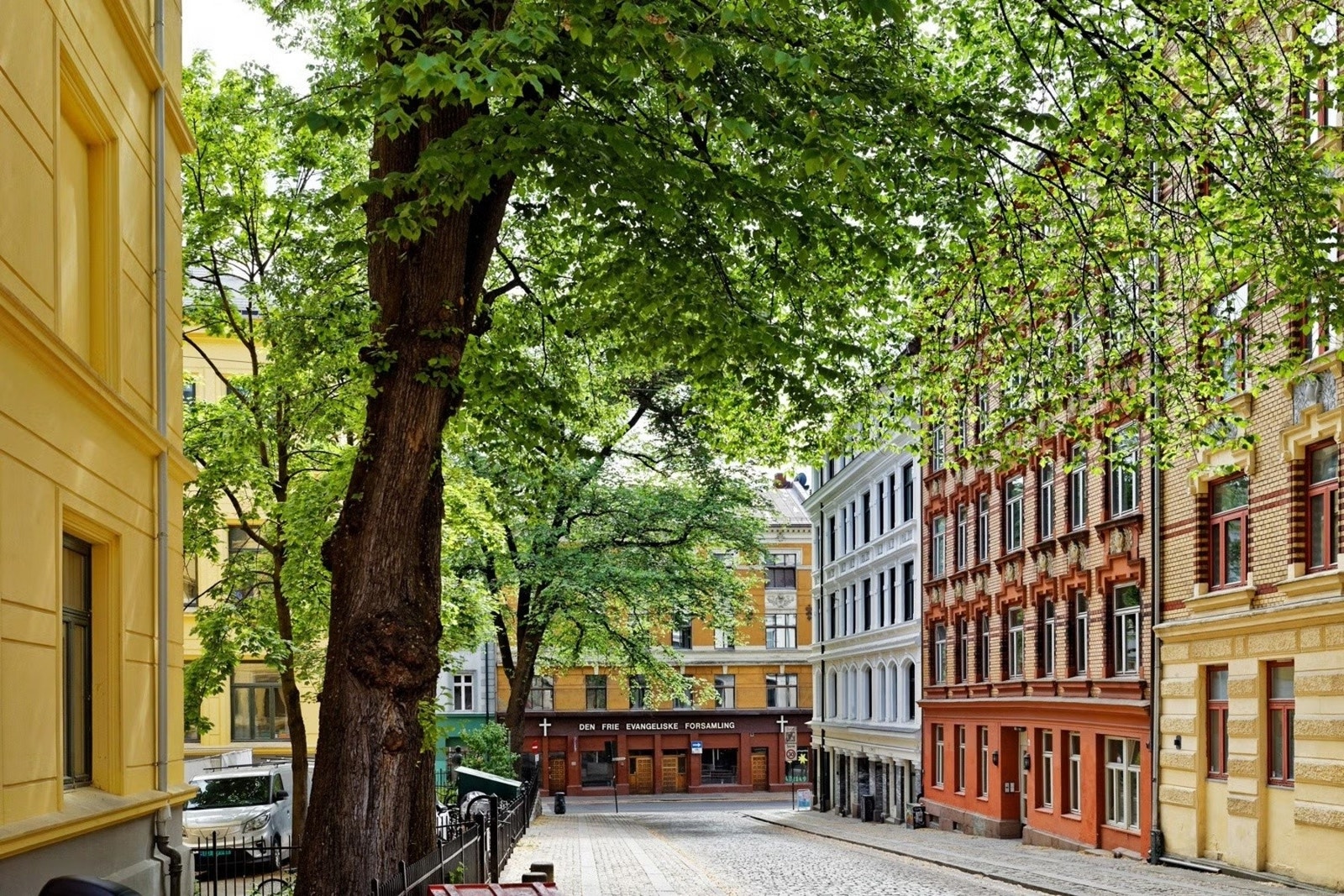 Nærmiljø. Galleribilde