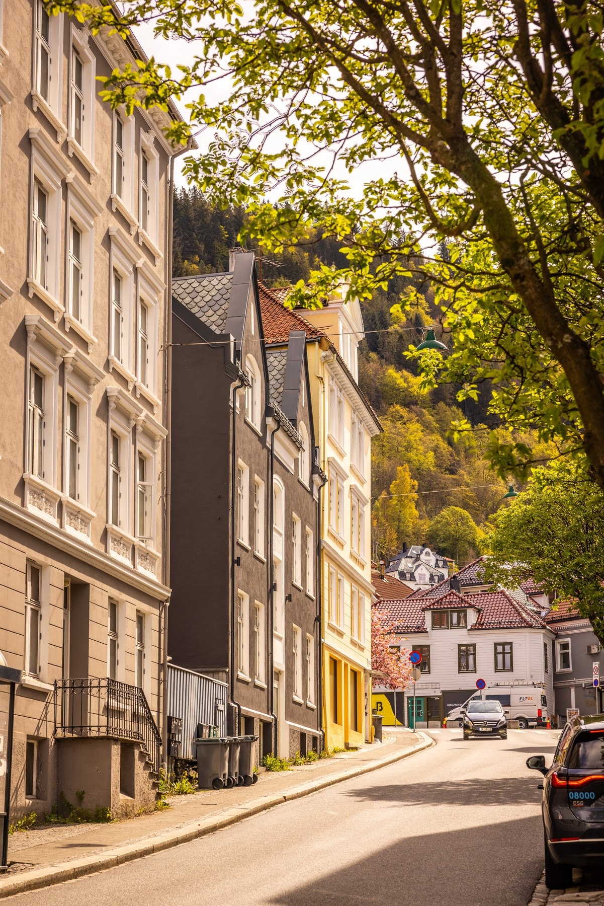 En sjarmerende gate kun få minutters gange fra Bryggen Galleribilde