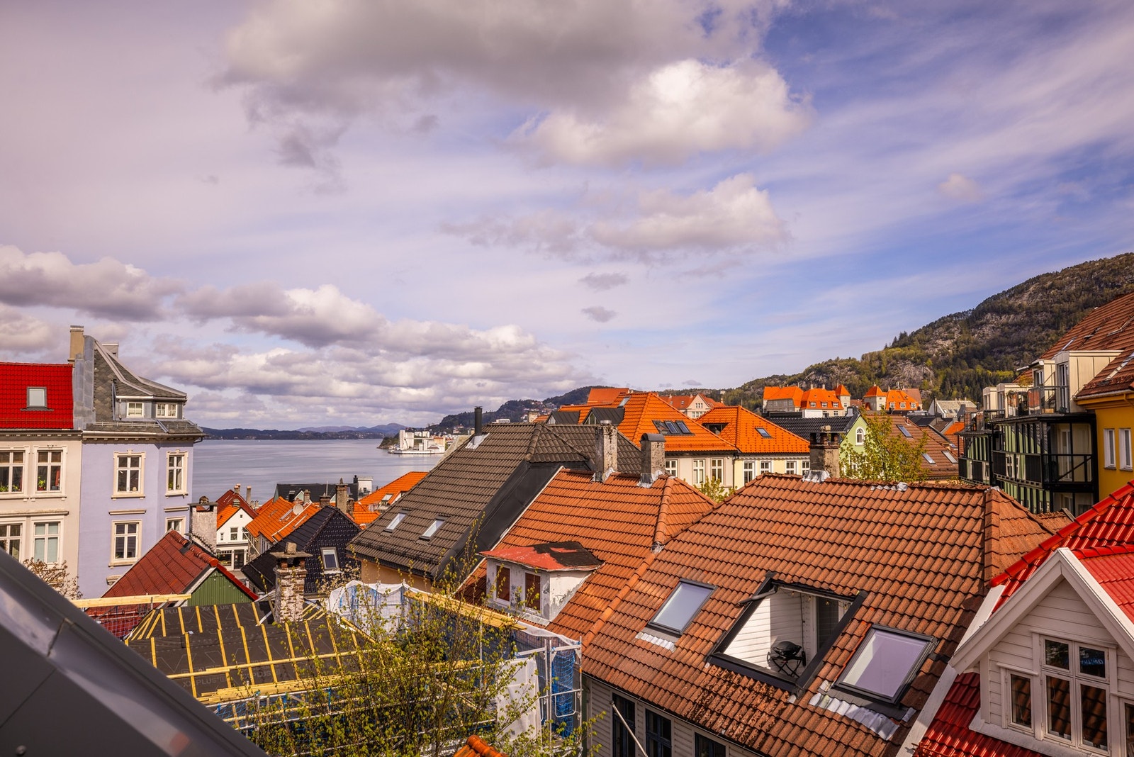 Flott utsikt fra Veluxvinduene Galleribilde