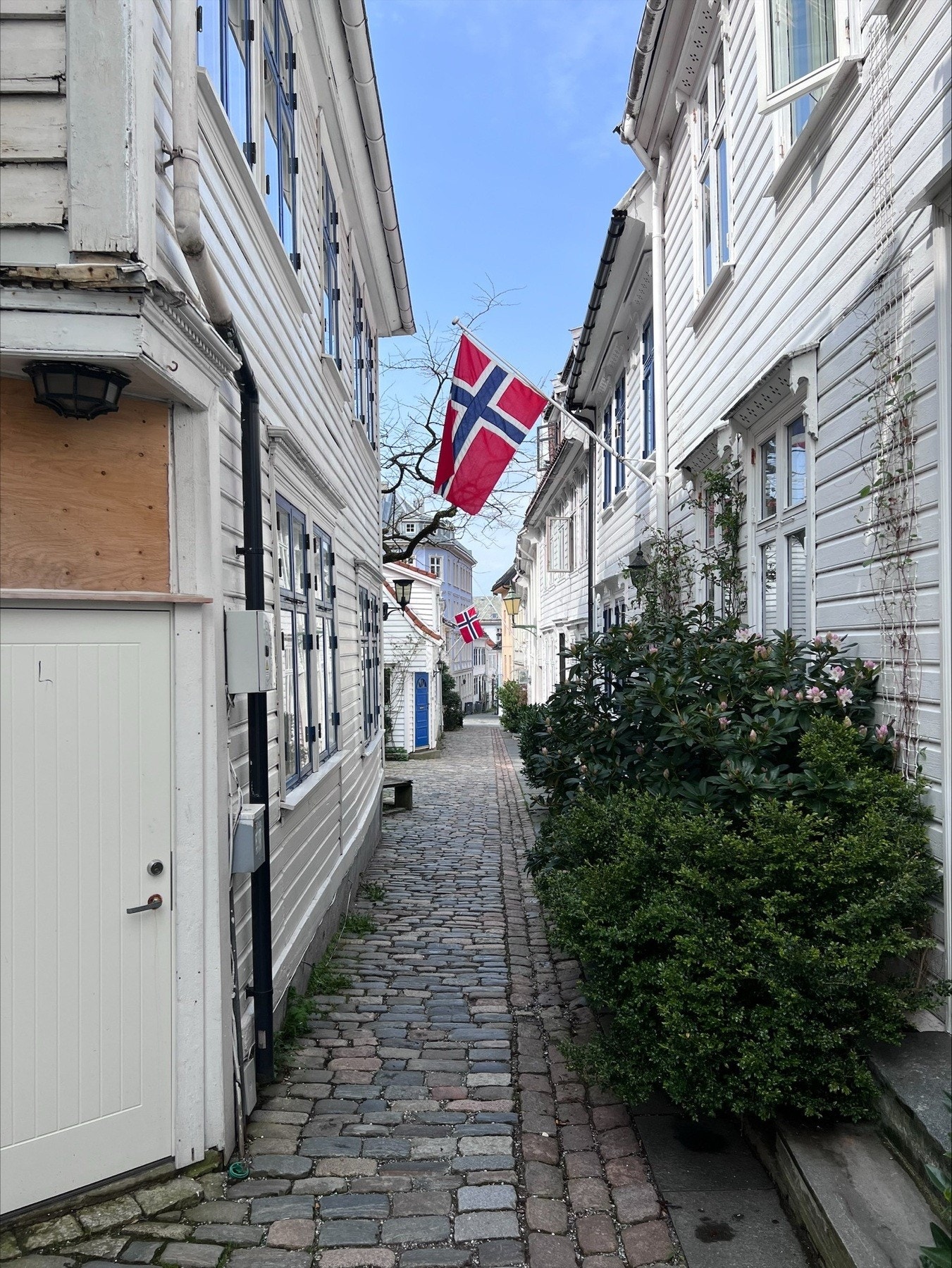 Sameiet disponerer en felles bakhage Galleribilde