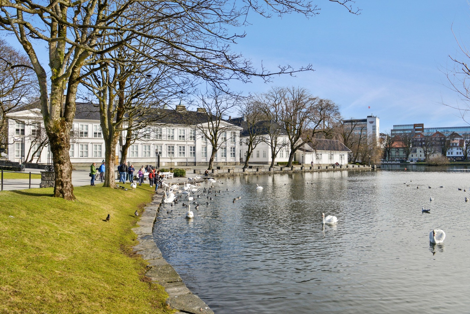 Vakre Breiavatnet og Byparken byr på grønne omgivelser, flotte turmuligheter og en idyllisk atmosfære midt i sentrum. Galleribilde