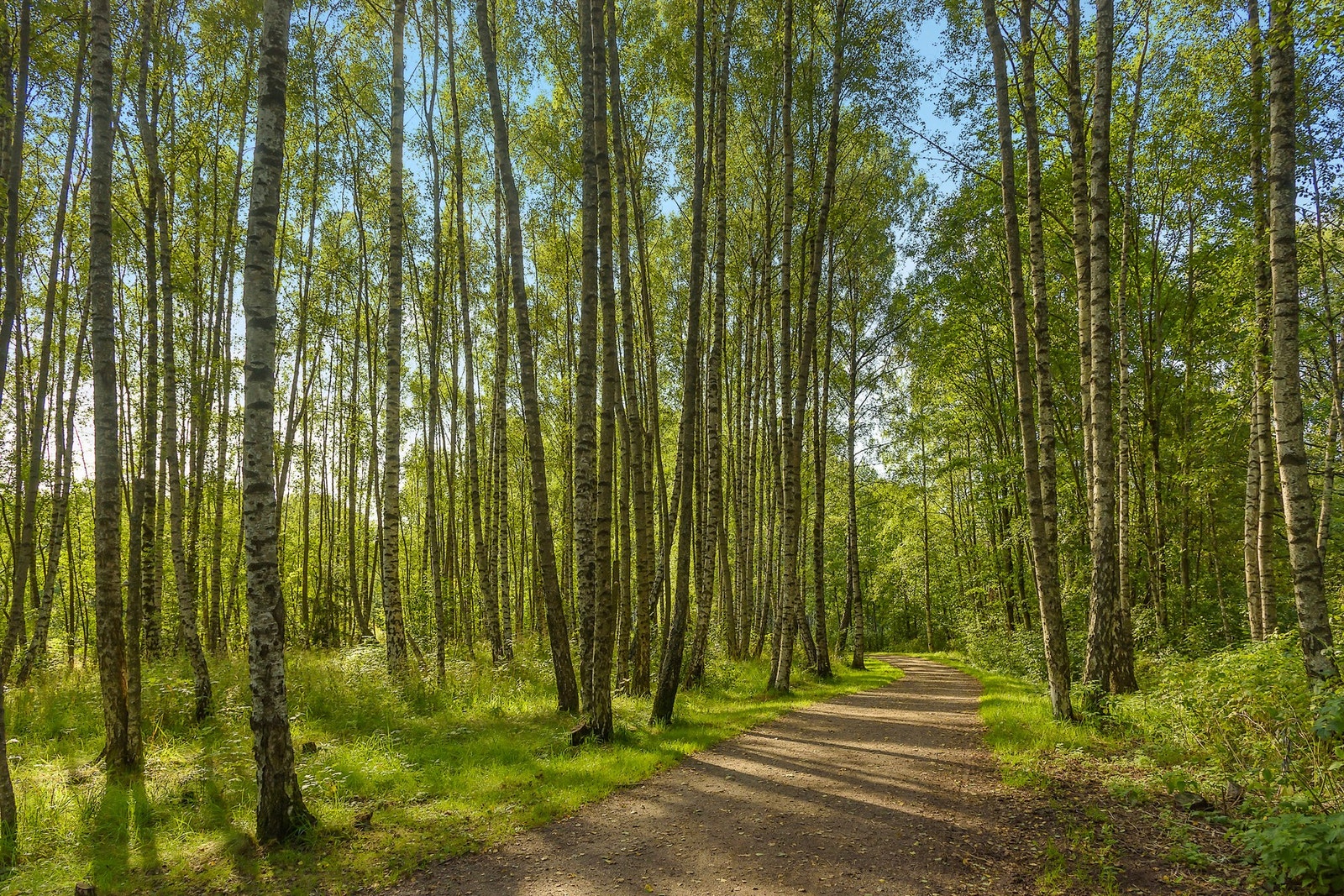 Fra boligen har du et glimrende utgangspunkt for tur og trening, sommer som vinter, hvor du finner flotte turområder i marka. Galleribilde