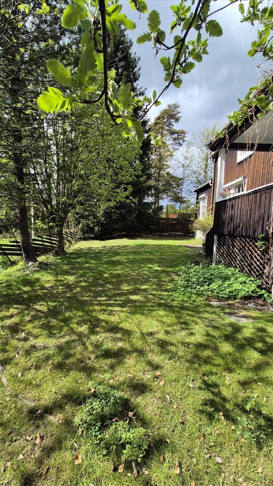 Stor og flott hage som er opparbeidet med gressplen og variert beplantning. Galleribilde