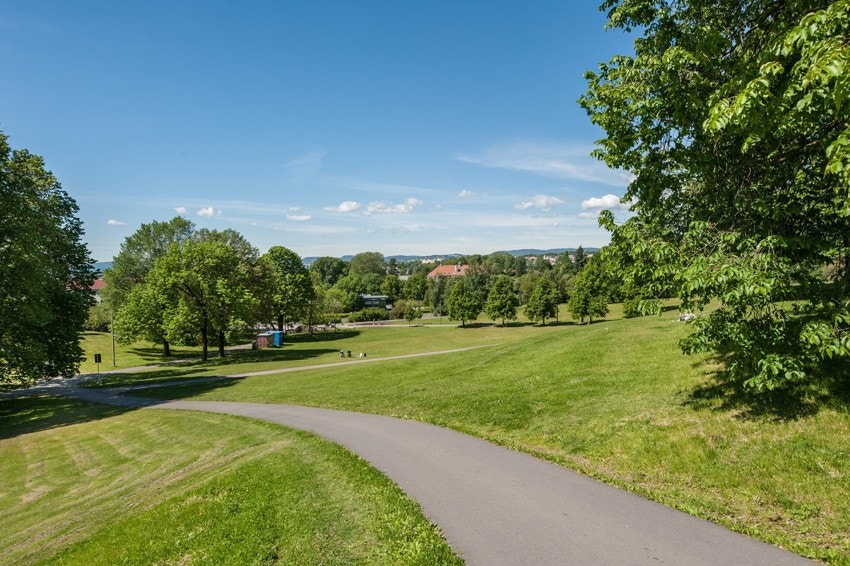 Tøyenparken er perfekt for både hygge og trening. Galleribilde