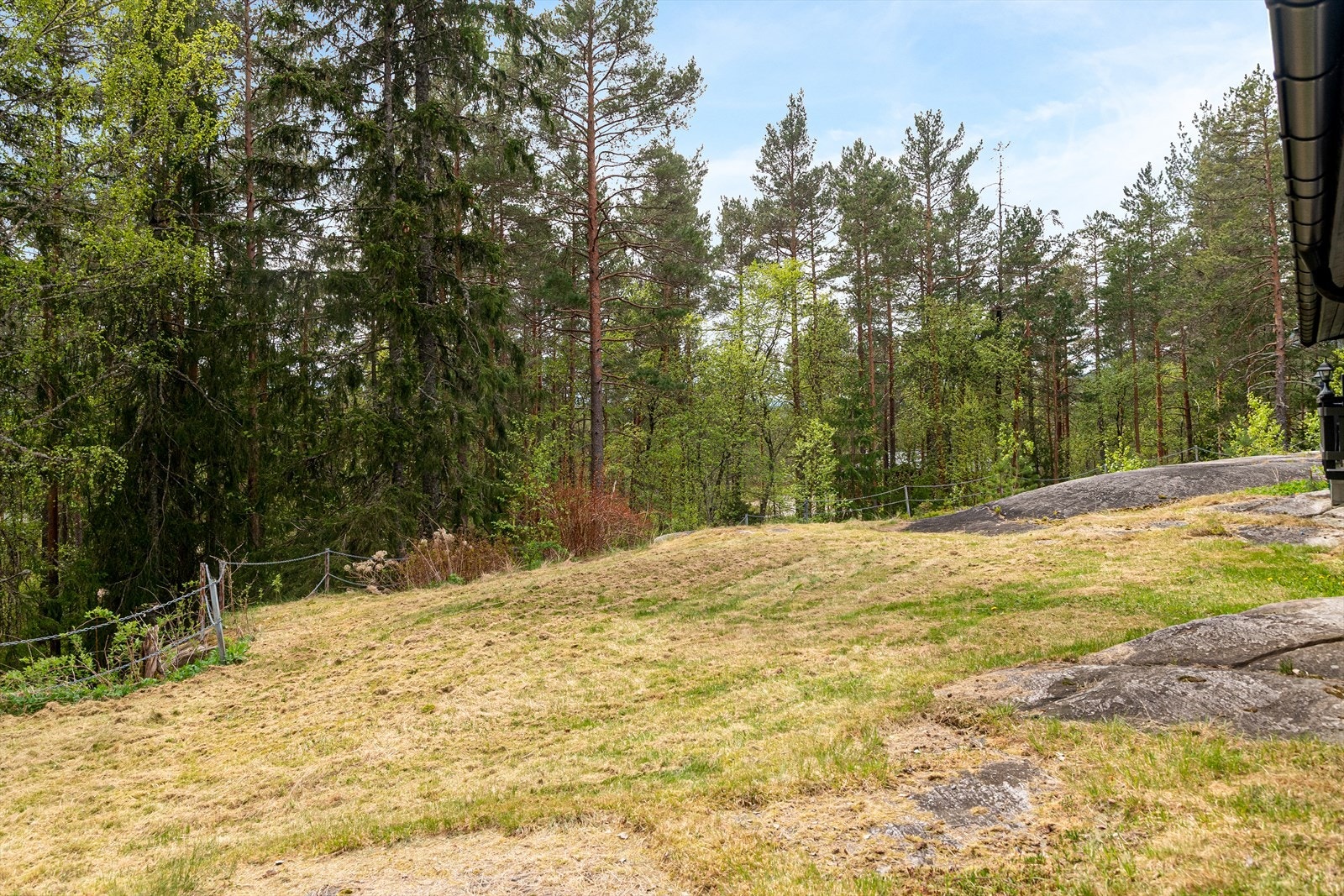 Tomten er opparbeidet med en kombinasjon av plen og naturlig skogsterreng. Galleribilde