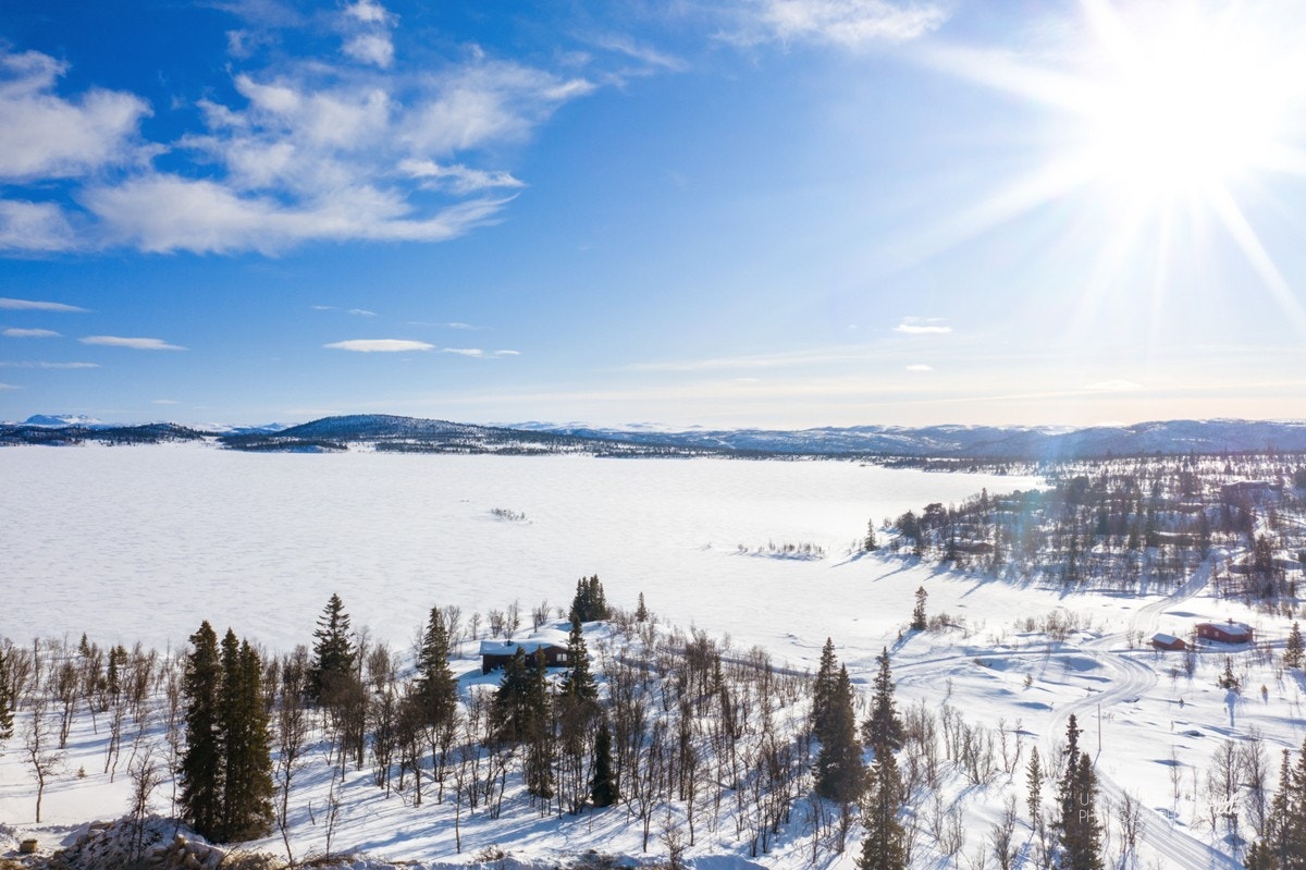 Vinter Galleribilde