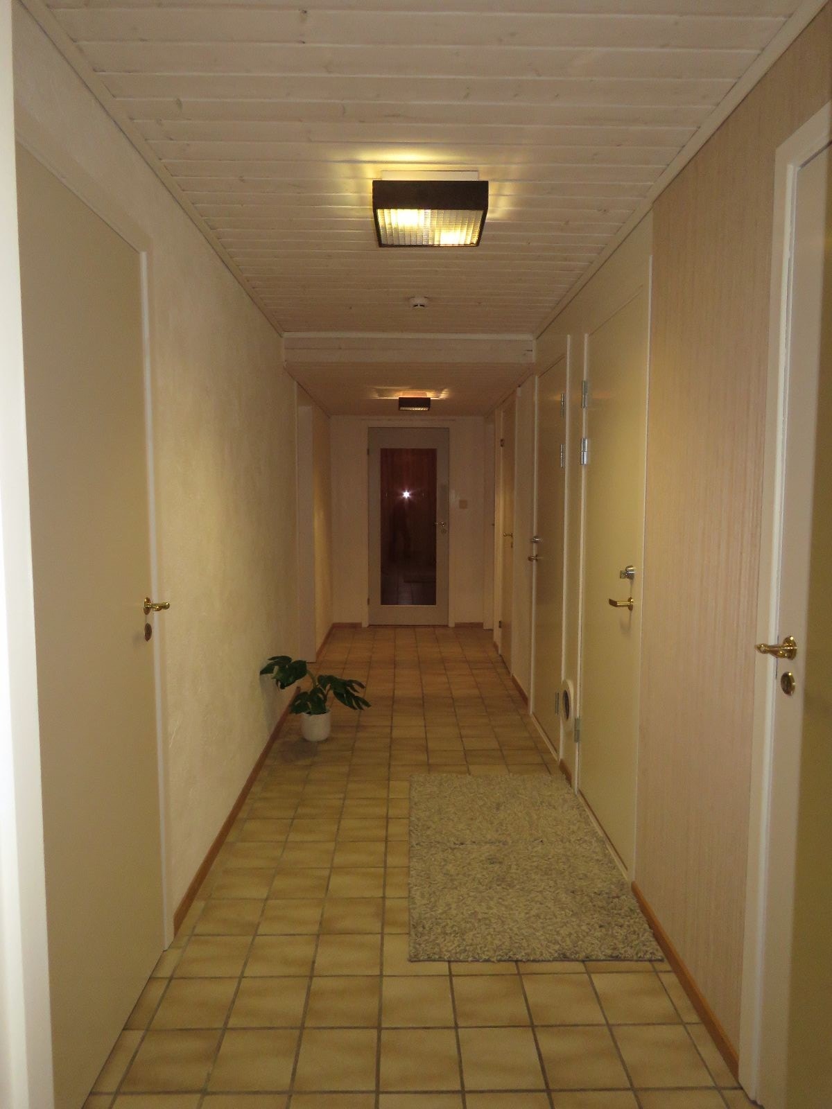 Gang Galleribilde