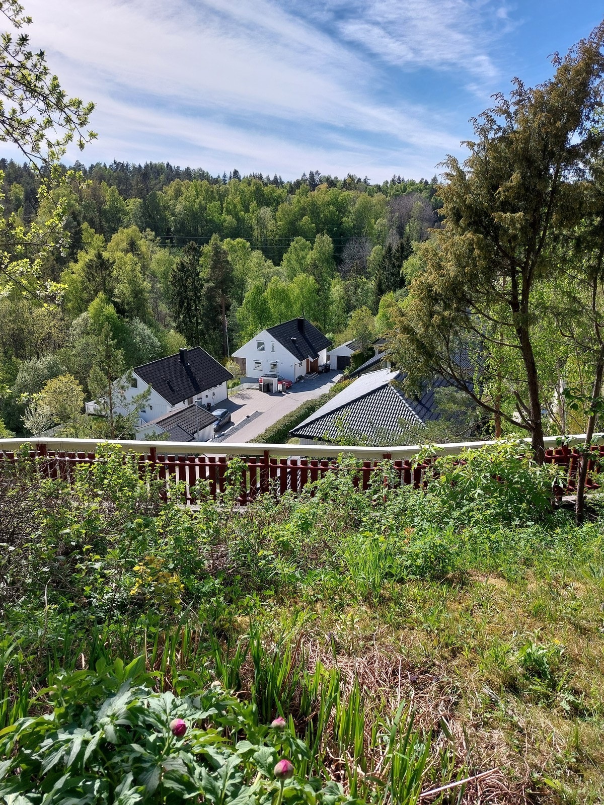 Utsikt Galleribilde