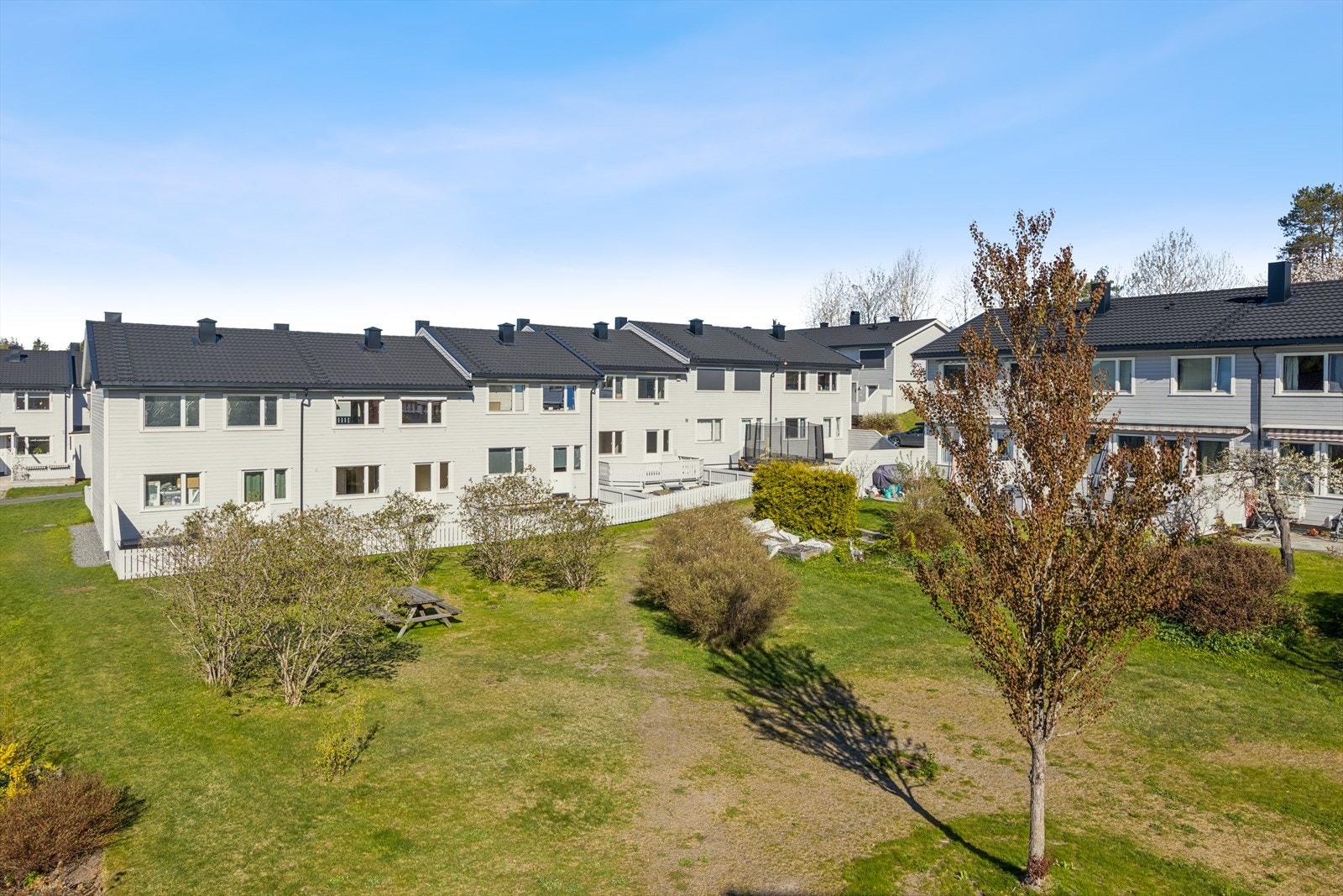Grønt fellesområde med plen, beplantning og sitteplass, som gir et åpent og trivelig uterom i et rolig og etablert atmosfære. Galleribilde