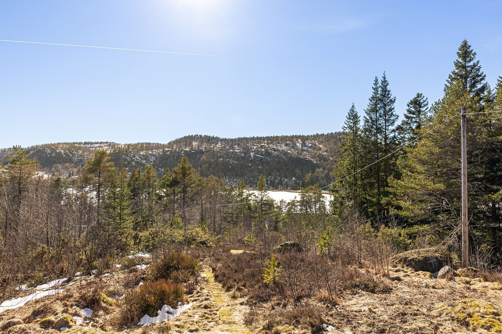 Naturtomten gir en følelse av å være tett på skog og mark. Galleribilde