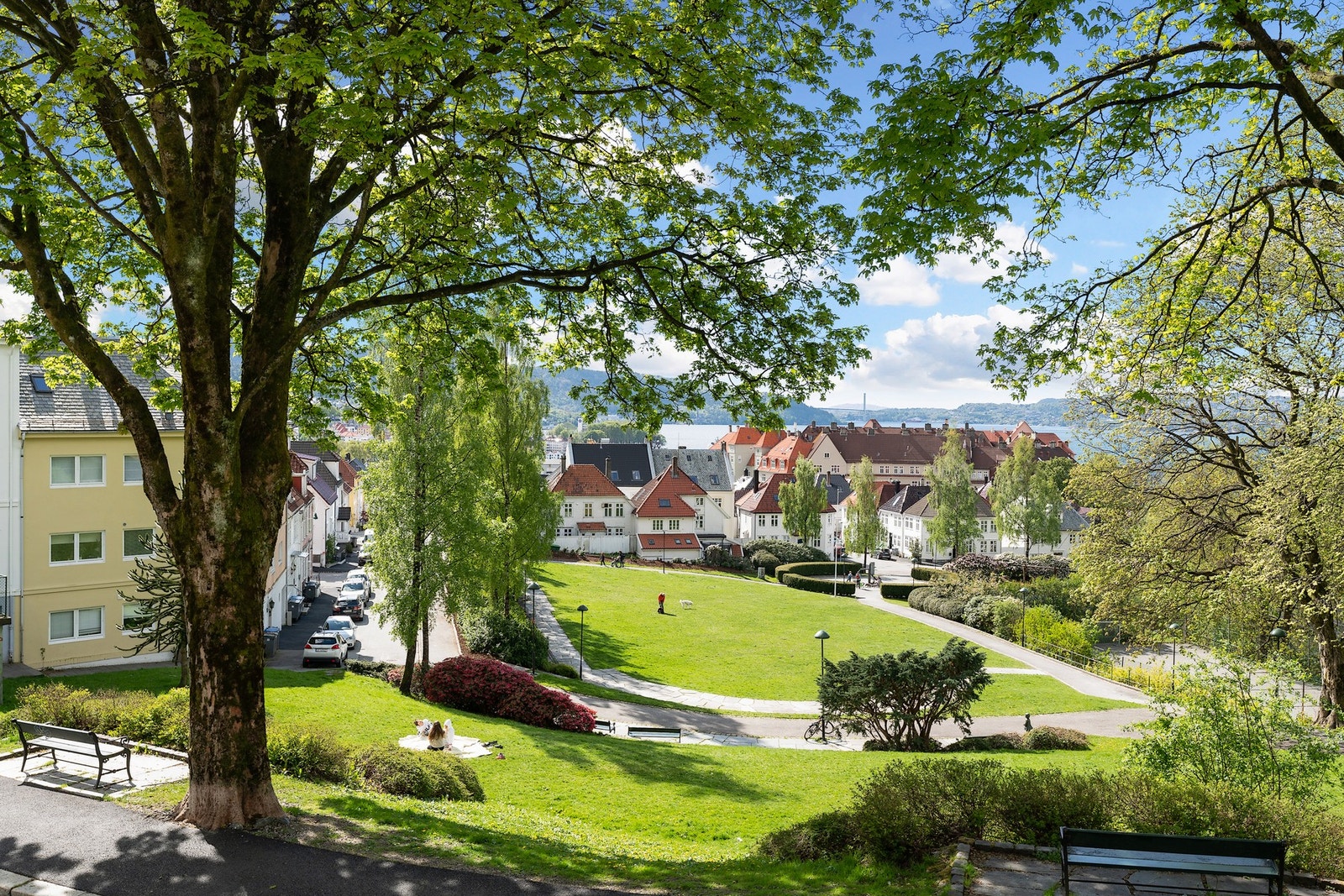 DET ER OGSÅ BARE FÅ MINUTTER Å GÅ TIL STORE PARKANLEGG Galleribilde