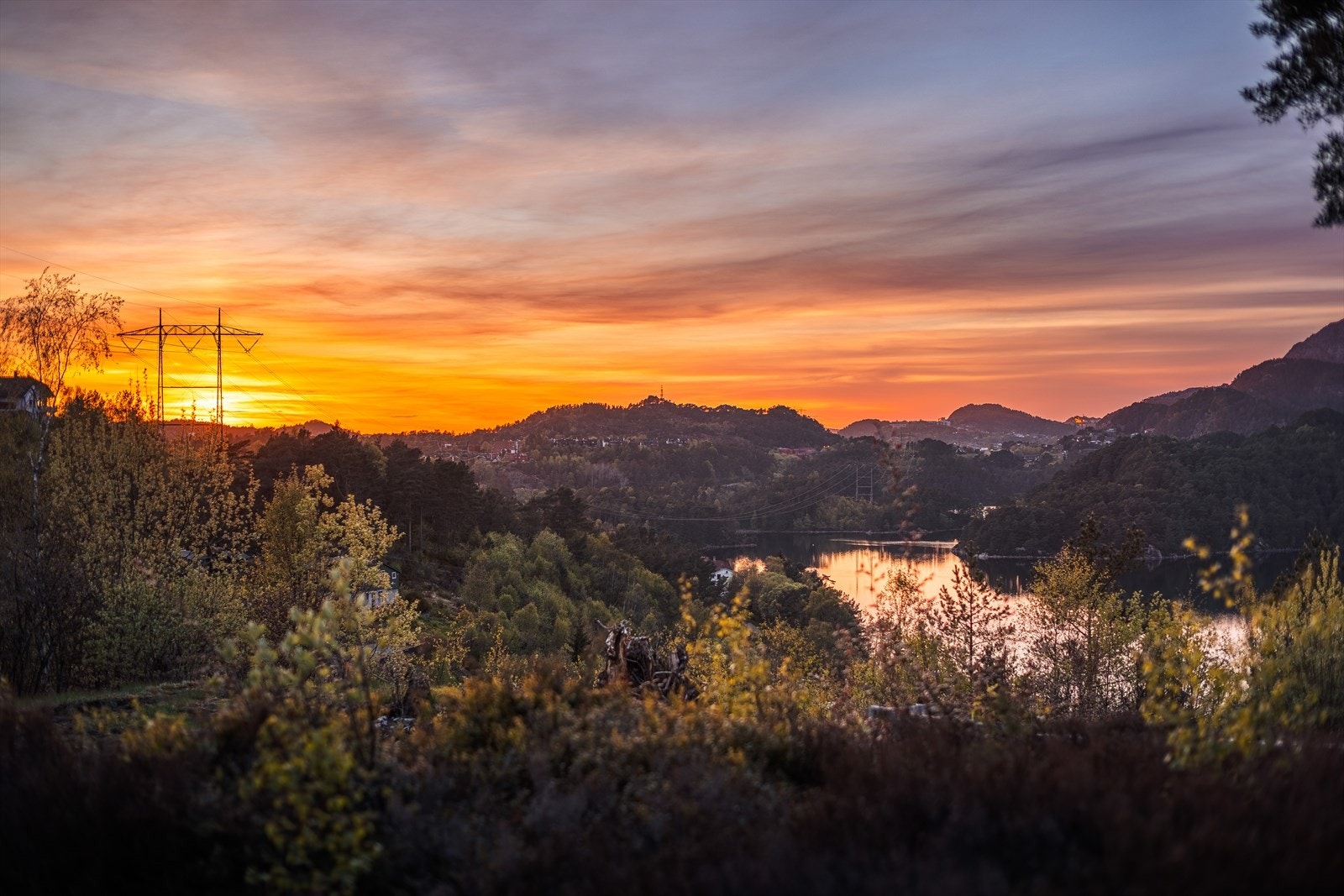 Utsikt over nærområdet og Gjeddevann ved solnedgang. Galleribilde