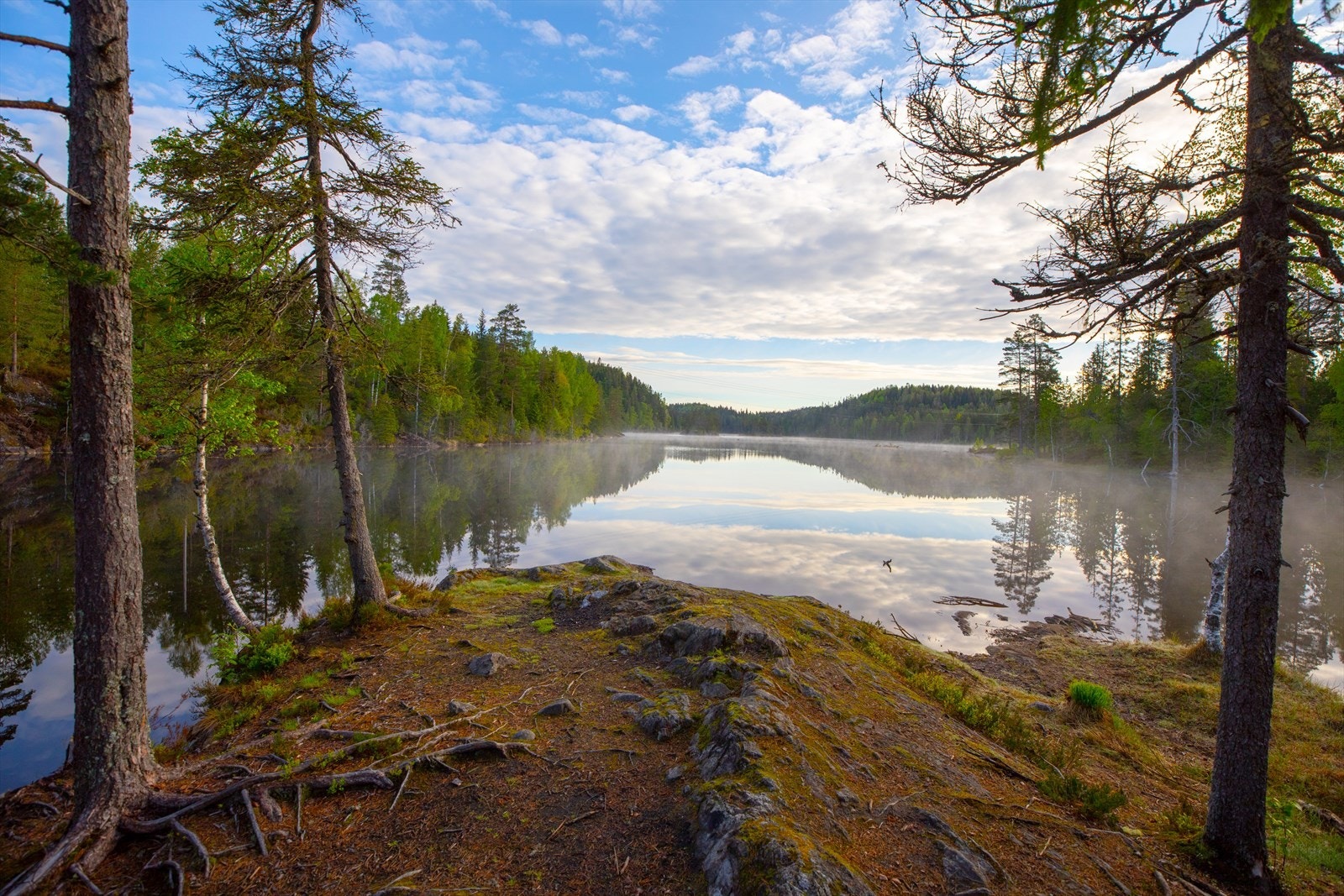 Fra boligen er det kort vei til Østmarka med mange turmuligheter både vinter og sommer. Her er et bilde fra Gjeddevann noen få km fra boligen. Galleribilde