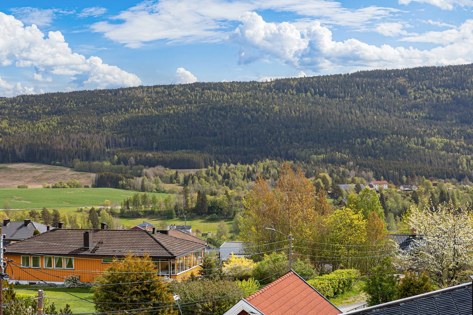 Velkommen på visning! Galleribilde
