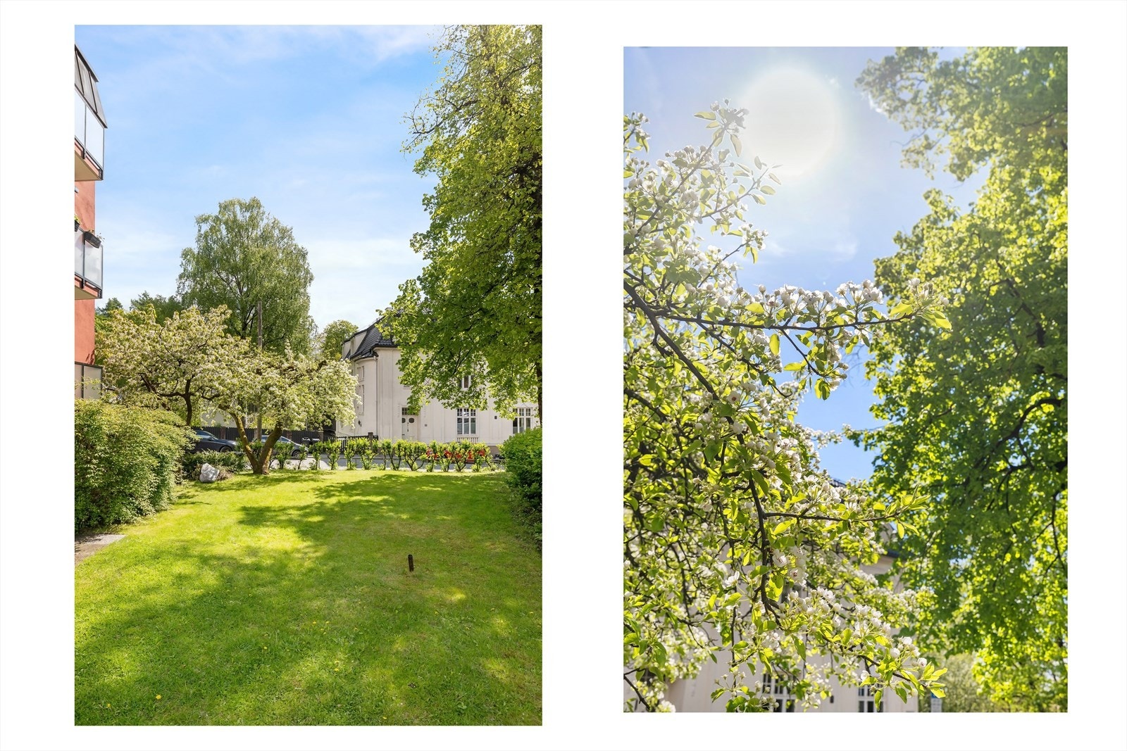 Se så fine fellesområder! Galleribilde