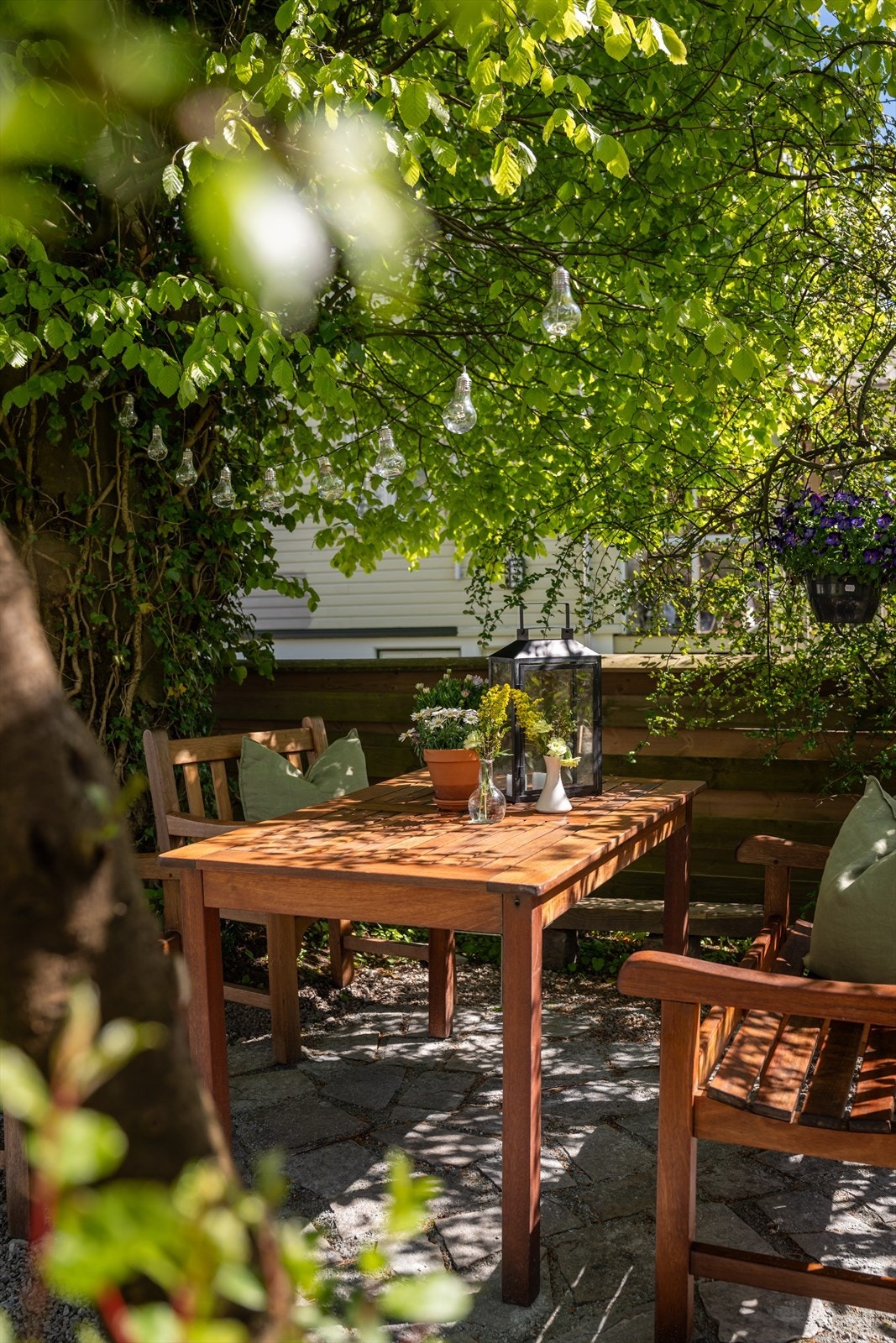 Her kan man sitte under treet og se solen så vakkert komme inn mellom bladene. Galleribilde