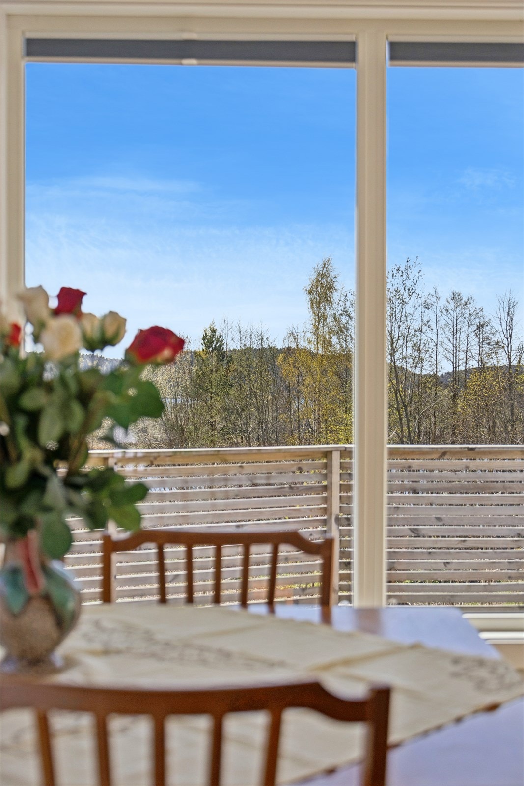 De nye vinduene på sydveggen rammer inn utsikten og slipper inn rikelig med dagslys. Galleribilde