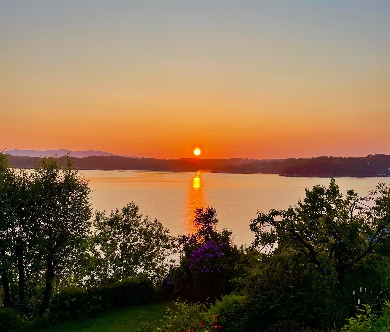 Selling sunset! Galleribilde