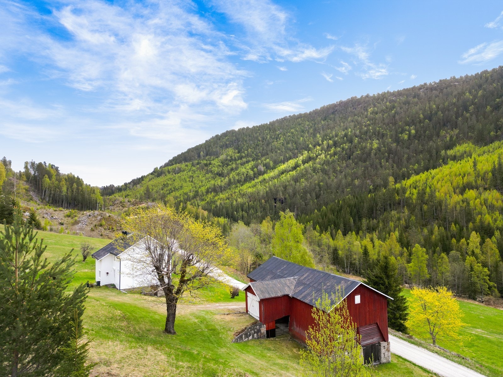 Her bor du usjenert og tett på naturen, med tunet plassert på 365 meter over havet. Galleribilde