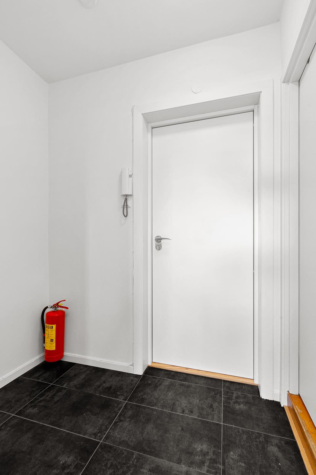Entré med dørcalling Galleribilde